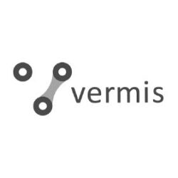 webbyskill partner vermis logo