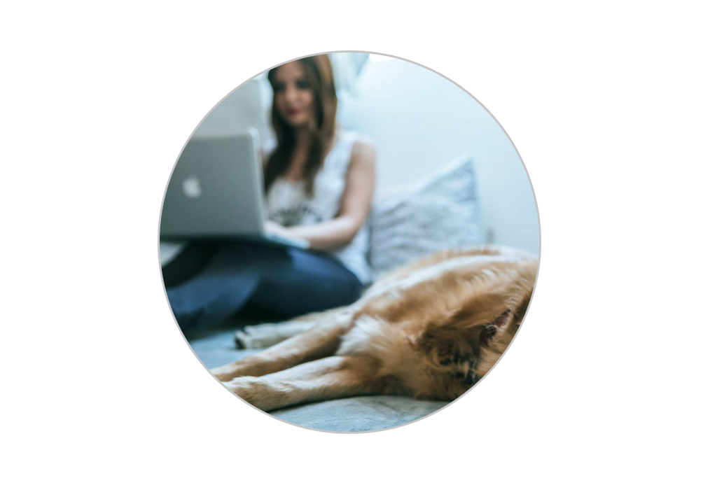 Hallgató kutyával otthon tanul online marketing képzésen - All You Can Learn formában